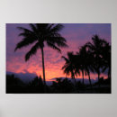Buscar colores tropicales posters Isla