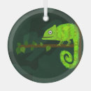 Buscar camaleones adornos Animales