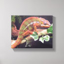 Buscar camaleón lienzos Animal