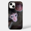 Buscar salvaje mono iphone fundas Lindo