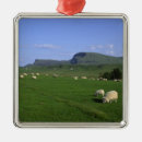 Buscar skye adornos Altiplano