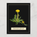 Buscar botanical postales Flor
