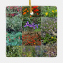 Buscar nativo adornos 6 º estadía