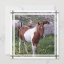 Buscar pinto invitaciones Caballo
