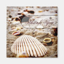 Buscar seashells imanes Arena