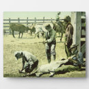 Buscar vaquero placas fotograbadas Americano