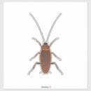 Buscar rogar postales Insecto