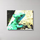 Buscar reptil lienzos Lagarto