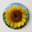 Buscar gigantes chapas Brillante