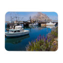 Buscar bahia imanes Oeste