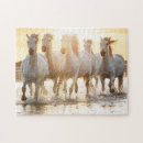 Buscar caballo blanco Caballos