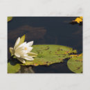 Buscar almohadilla postales Flor