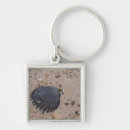 Buscar peregrino llaveros Concha de peregrino