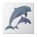 Buscar delfín azulejos Pescados