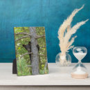 Buscar cubo placas fotograbadas Danita delimont