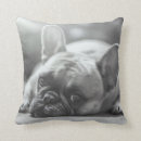 Buscar frenchies cojines Animal