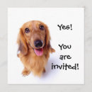 Buscar perrito cuadradas invitaciones General y unisex