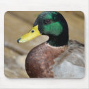 Buscar pato silvestre alfombrillas de raton Pájaro