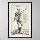 Buscar cuerpo arte Anatomía