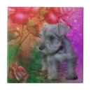 Buscar schnauzer azulejos Miniatura
