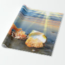 Buscar estrellas mar de papel de regalo Playa