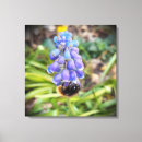 Buscar abejorro lienzos Abeja de miel