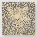 Buscar leopardo posavasos Animal