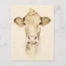 Buscar vacas postales Retrato