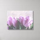 Buscar tulipanes decoracion Morado
