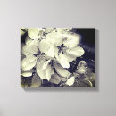 Buscar florece lienzos Floral
