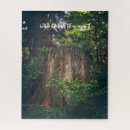 Buscar árbol de la vida fotografia Bosques