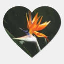 Buscar pájaro corazon pegatinas Floral