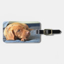 Buscar colgante etiquetas para maletas Animal