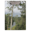 Buscar madera gris libretas Verde
