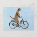 Buscar bicicleta antigua postales Antiguo