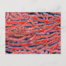 Buscar nariz postales Naturaleza