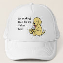 Buscar laboratorio amarillo gorras Labrador
