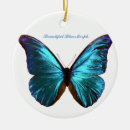 Buscar morpho Elegante