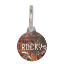 Buscar roca collares Para todos