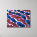 Buscar abundancia lienzos Horizontal