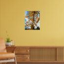 Buscar ginkgo fotografía Árbol