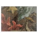 Buscar mares tablas cortar Océano