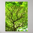 Buscar pol posters Verde