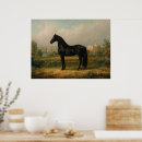 Buscar pura sangre posters Equino