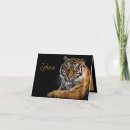 Buscar gatos tarjetas nota Safari