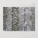 Buscar troncos de árbol postales Sierra