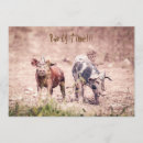 Buscar guarra invitaciones Fiesta