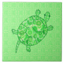 Buscar tortuga azulejos Verde