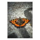 Buscar biología fotografía Naturaleza