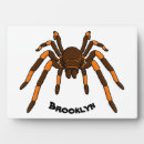 Buscar araña placas fotograbadas Para todos